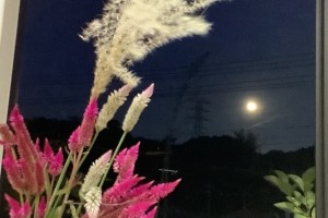 鈴東